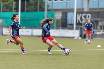 Bild 163 - wBJ Hamburger SV - FC Suederelbe : Ergebnis: 9:0